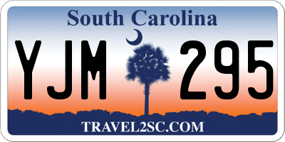 SC license plate YJM295