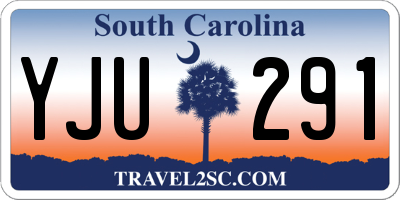 SC license plate YJU291