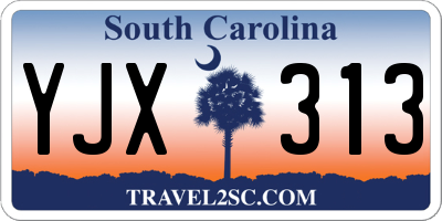 SC license plate YJX313