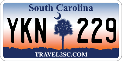 SC license plate YKN229