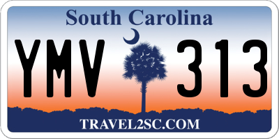 SC license plate YMV313