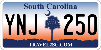 SC license plate YNJ250