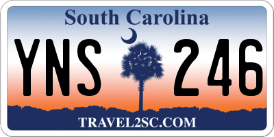 SC license plate YNS246