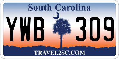 SC license plate YWB309