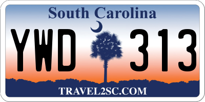 SC license plate YWD313