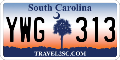 SC license plate YWG313