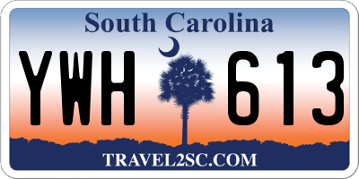SC license plate YWH613