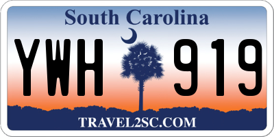SC license plate YWH919