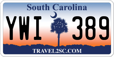 SC license plate YWI389