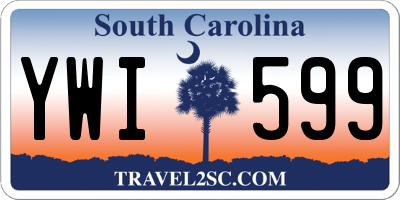 SC license plate YWI599
