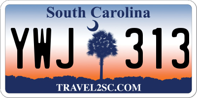SC license plate YWJ313