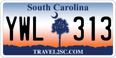 SC license plate YWL313