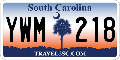 SC license plate YWM218
