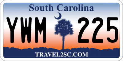 SC license plate YWM225
