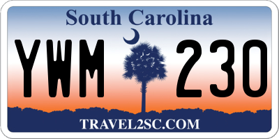SC license plate YWM230