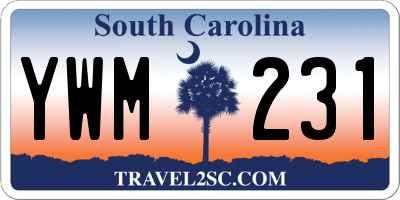 SC license plate YWM231