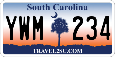 SC license plate YWM234