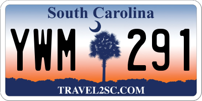 SC license plate YWM291