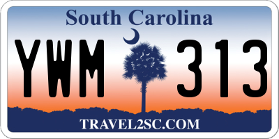 SC license plate YWM313