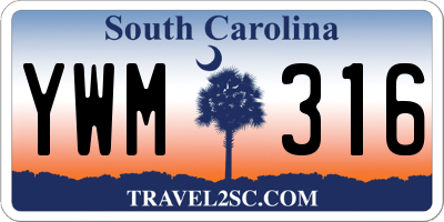 SC license plate YWM316