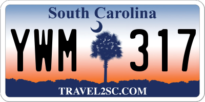 SC license plate YWM317