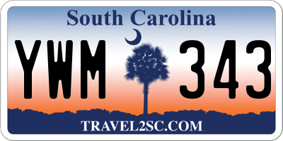 SC license plate YWM343