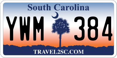SC license plate YWM384