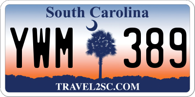 SC license plate YWM389