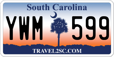 SC license plate YWM599