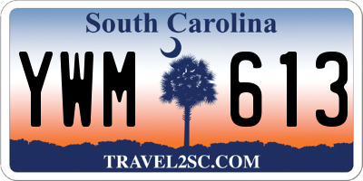 SC license plate YWM613