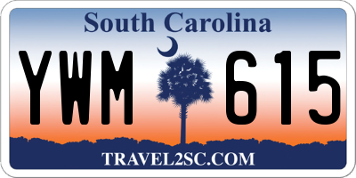 SC license plate YWM615