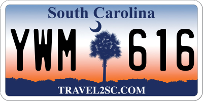 SC license plate YWM616