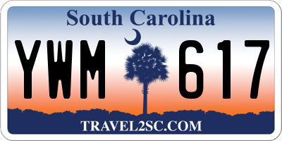 SC license plate YWM617