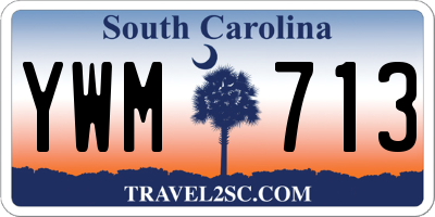 SC license plate YWM713