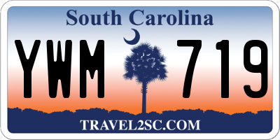 SC license plate YWM719