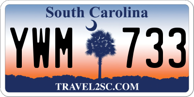 SC license plate YWM733