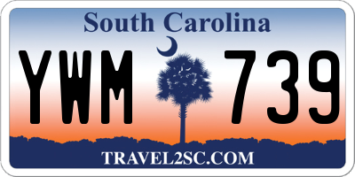 SC license plate YWM739