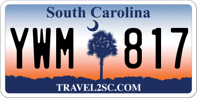 SC license plate YWM817