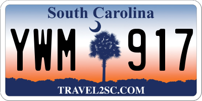 SC license plate YWM917