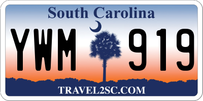SC license plate YWM919