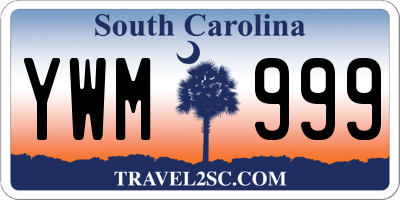 SC license plate YWM999