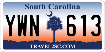 SC license plate YWN613