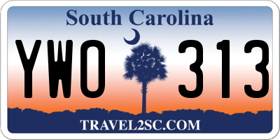 SC license plate YWO313
