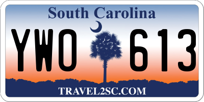 SC license plate YWO613