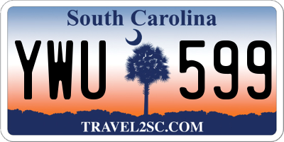 SC license plate YWU599