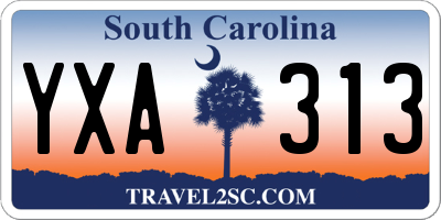 SC license plate YXA313