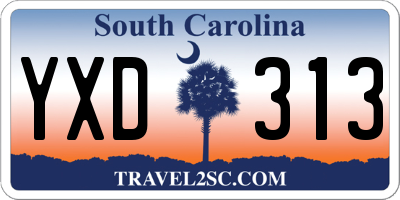SC license plate YXD313