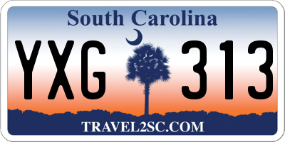 SC license plate YXG313