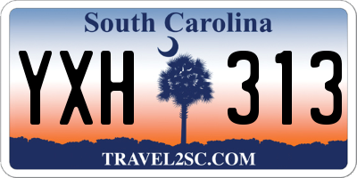 SC license plate YXH313