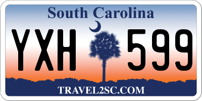 SC license plate YXH599